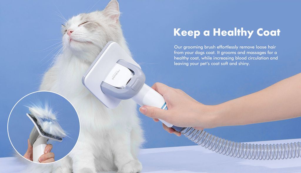 Haustierpflege Neakasa P2 Pro 5-in-1 Grooming Kit Pet Dryer Produktbild 21