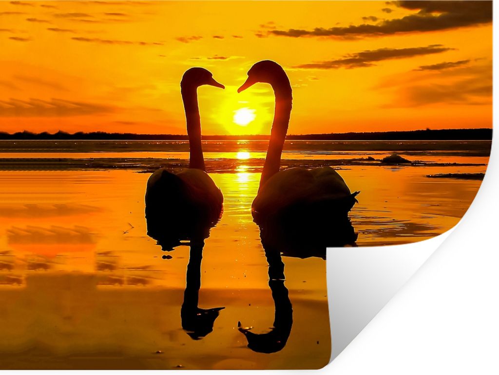 MuchoWow Wandtattoo Wandsticker Wandaufkleber Schwäne - Sonnenuntergang - Vogel - Orange - Wasser 120x90 cm Selbstklebend und Repositionierbar -...