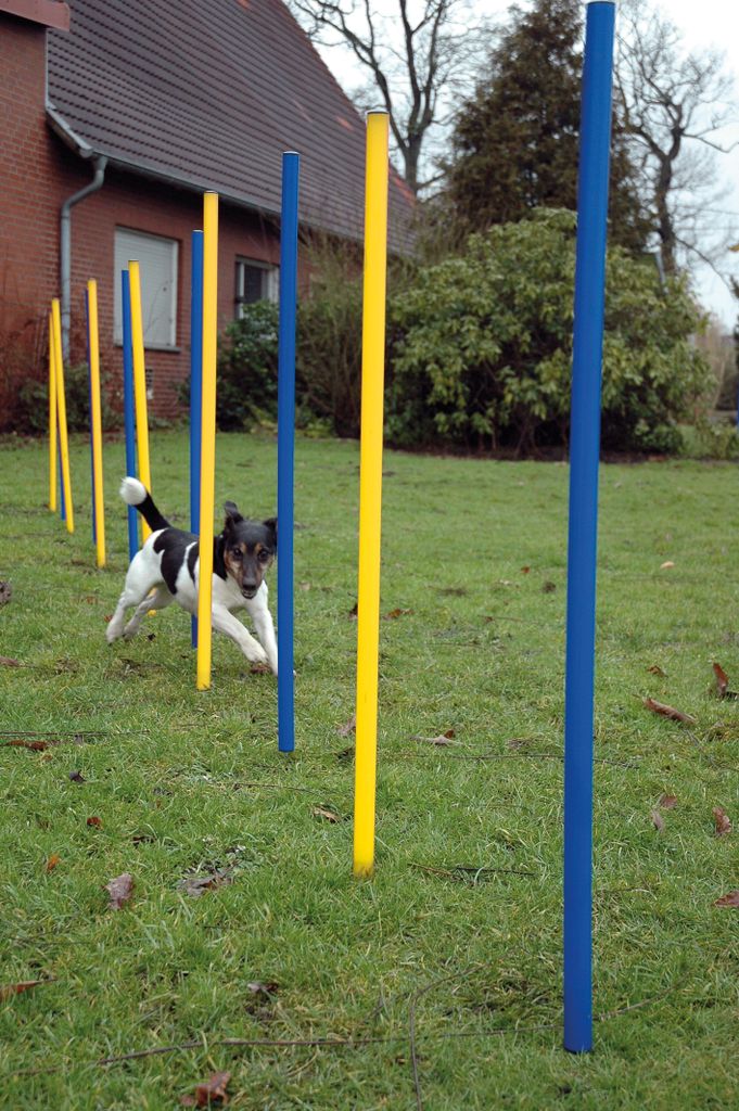 dobar 12-teiliges Agility Slalom Set, Hindernis mit 12 Produktbild 4