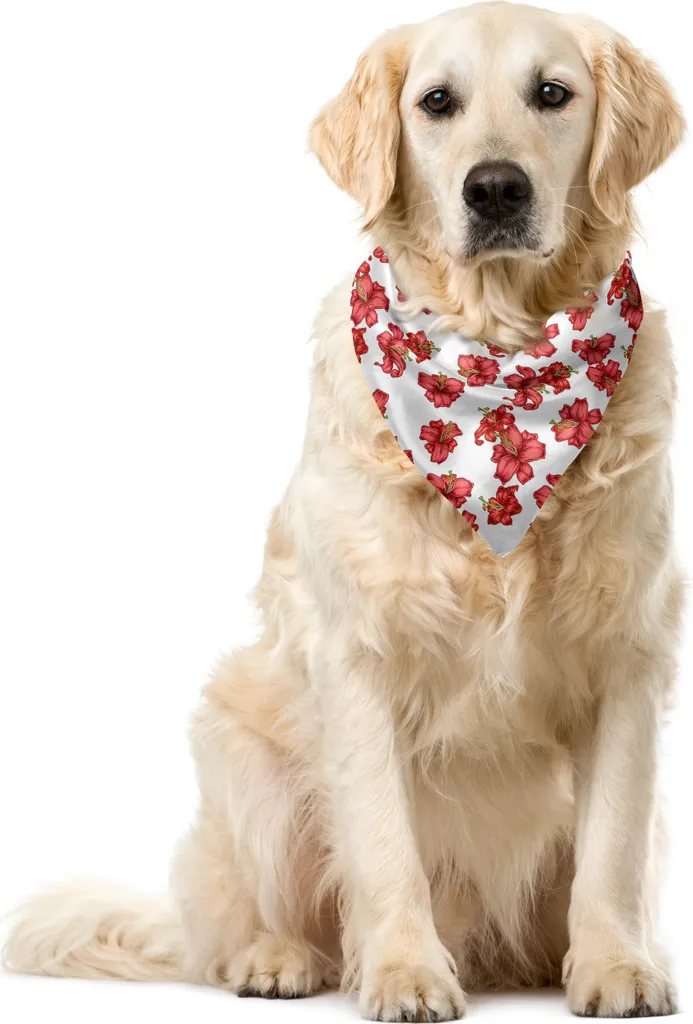 Sconto Bandana Cani ABAKUHAUS 55x55cm Vintage Gigli Oliva