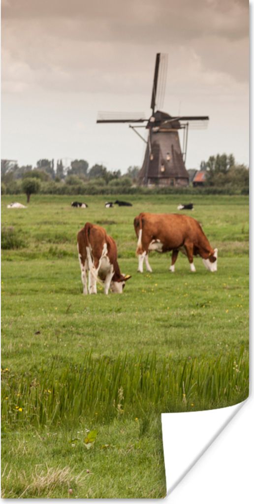 MuchoWow Poster Kühe - Mühle - Niederlande 80x160 cm - Kinderzimmer