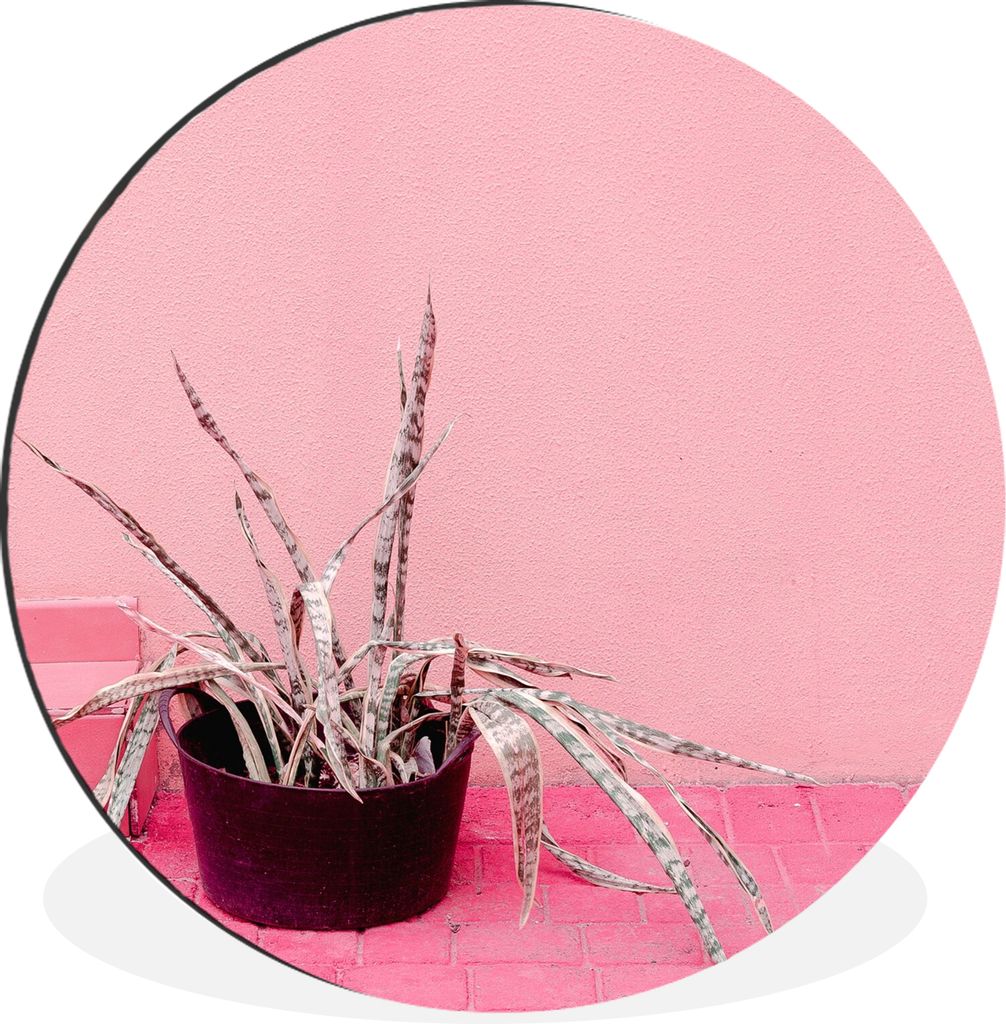 MuchoWow Aluminium Wandkreis Sommer - Rosa - Pflanzen Ø 30 cm Wanddeko Modern Wohnzimmer - Wand Bild - Wohnzimmer - Runde Bilder - Alubilder - K...