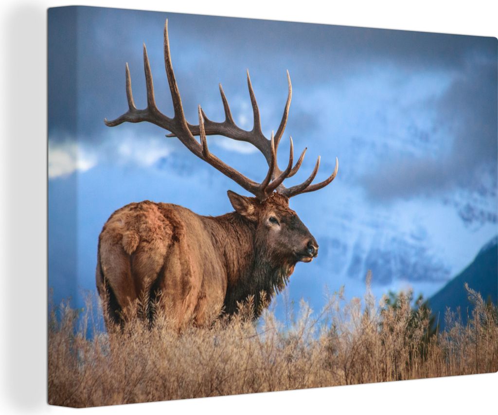 OneMillionCanvasses - Leinwandbilder - 140x90 cm, Ein Wapiti in der Landschaft Kanadas, Wandbilder Kunstdruck Wanddekoration