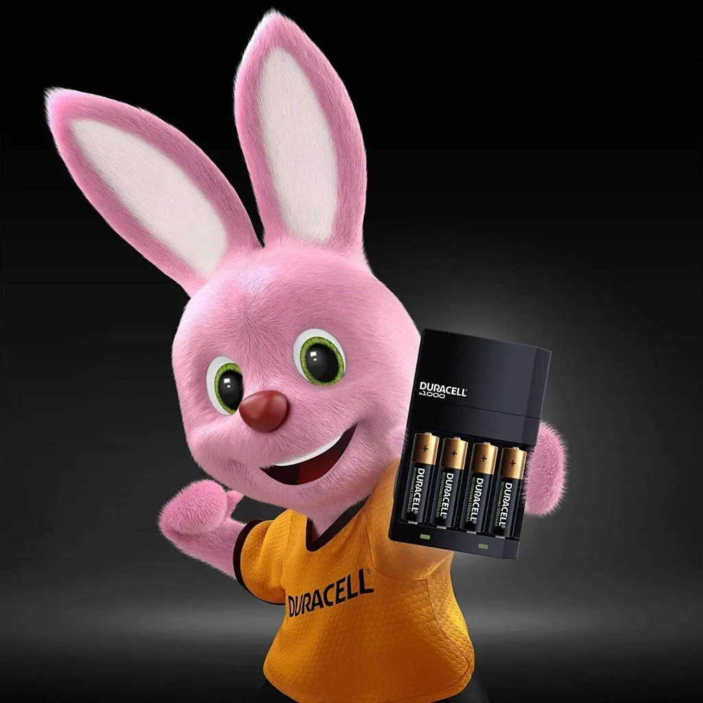 Pack chargeur Duracell CEF14 pour piles de maison (AA/AAA avec piles)