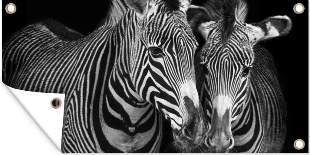 MuchoWow 80x40 cm Outdoor-Poster Gartendeko Sichtschutz Garten Poster für den Garten Tierprofil Zebras in Schwarz und Weiß