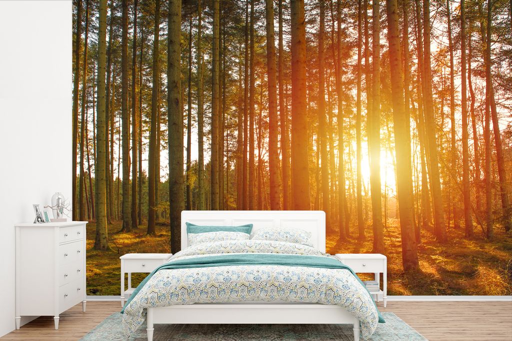MuchoWow Fototapete für Wohnzimmer oder Schlafzimmer Wandtapete Vinyl Motivtapete Herbst - Wald - Sonne - 390x260 cm - Papiertapete