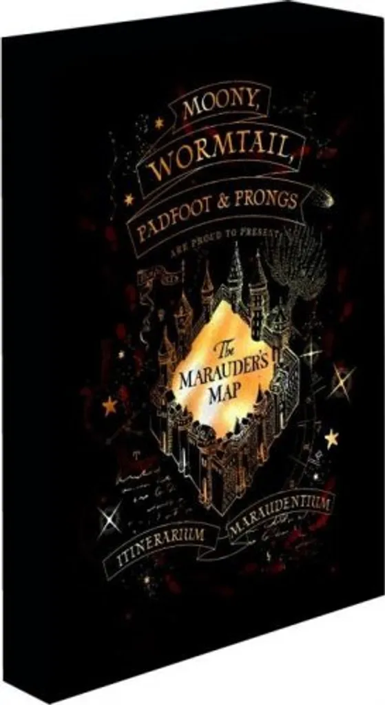 Tableau LED Harry Potter 30x40 cm Plan de Pobert avec Rétroéclairage