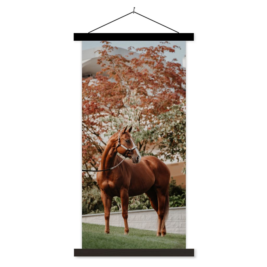MuchoWow Textilposter Pferd - Baum - Halfter 40x80 cm mit schwarzem Rahmen - Wandemalerei