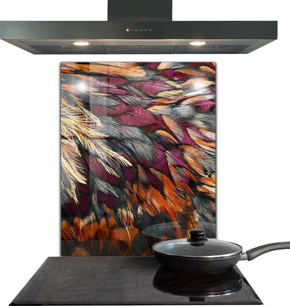 Spritzschutz aus Glas Küchenrückwand - Wandschutz für Herd und Spüle - 60x80 cm - Bunte Vogelfedern