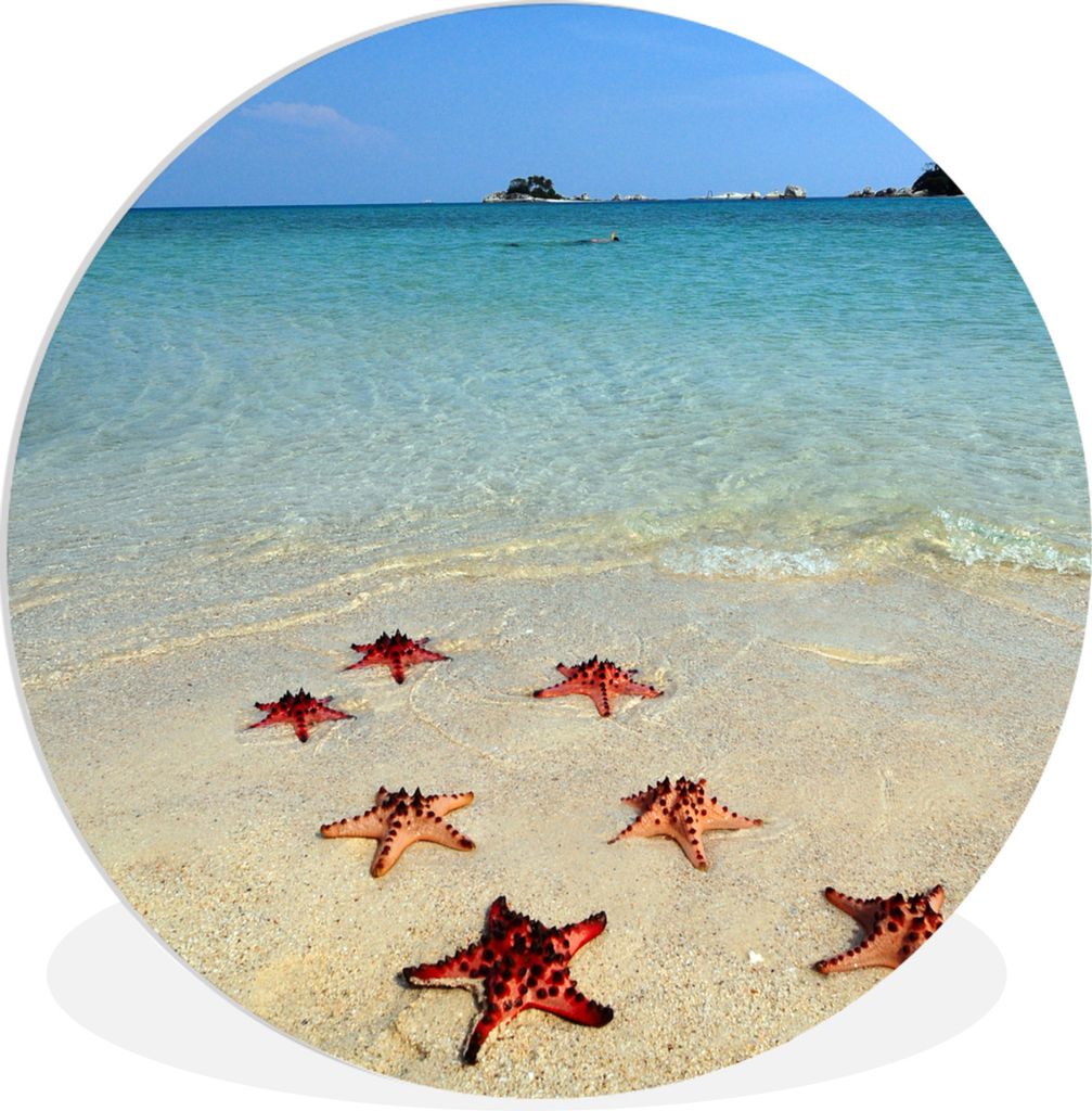 MuchoWow Rundes Wandbild - Runde Bilder Seestern - Meer - Insel Ø 30 cm Kreis Wanddekoration Kunststoff - Wandkreis - Wandschmuck - Schlafzimmer...