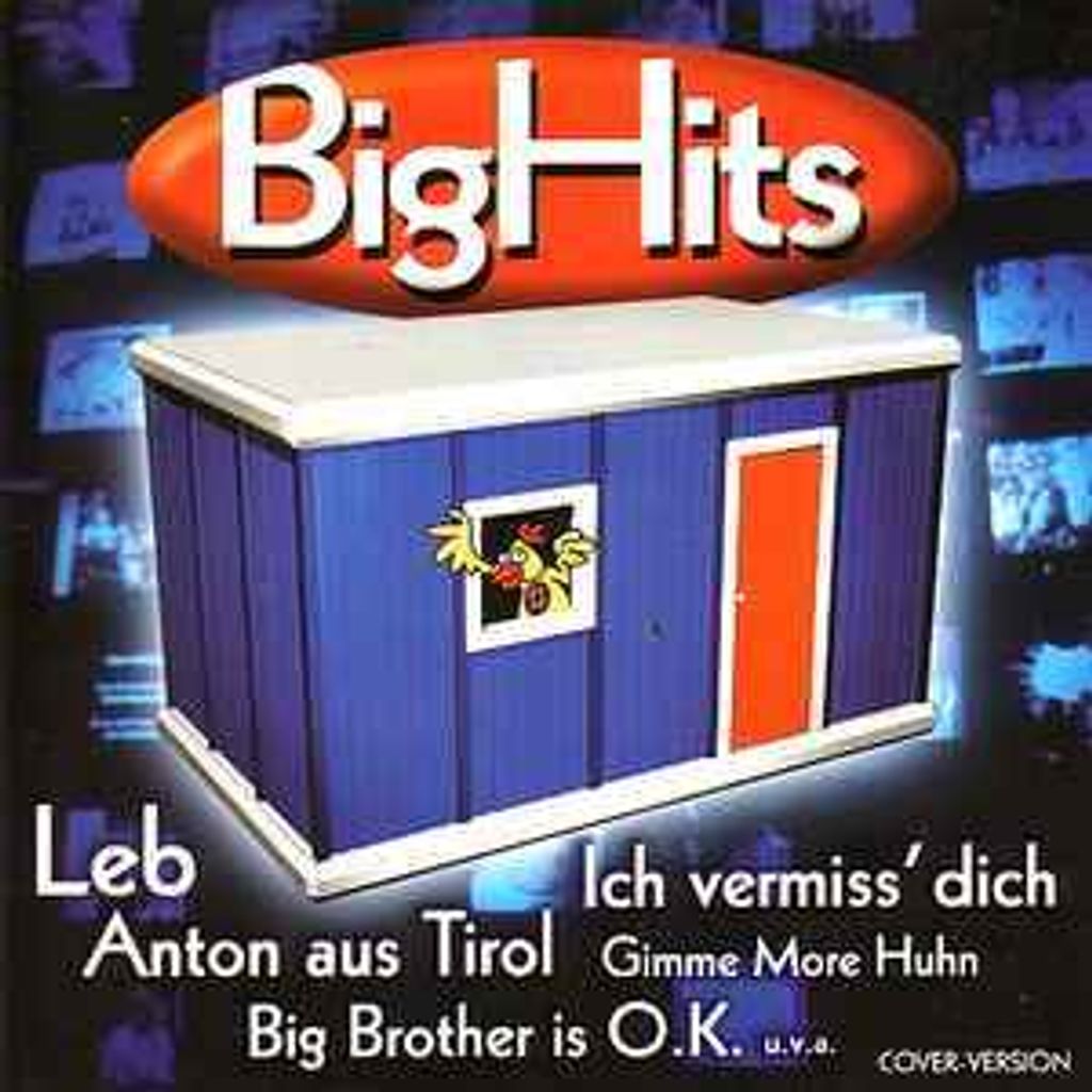 Big Hits aus dem Container - Cover Version