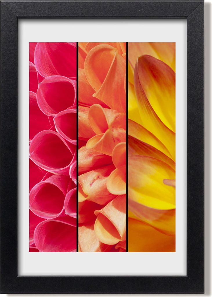 Bild 20x30 MDF-Rahmen, Wandkunst Bunte Blumen