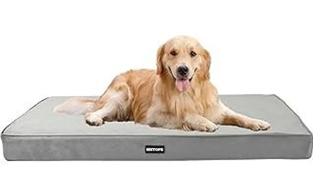 Occasione! Lettino Ortopedico Cane 112cm Spessore 10cm Lavabile
