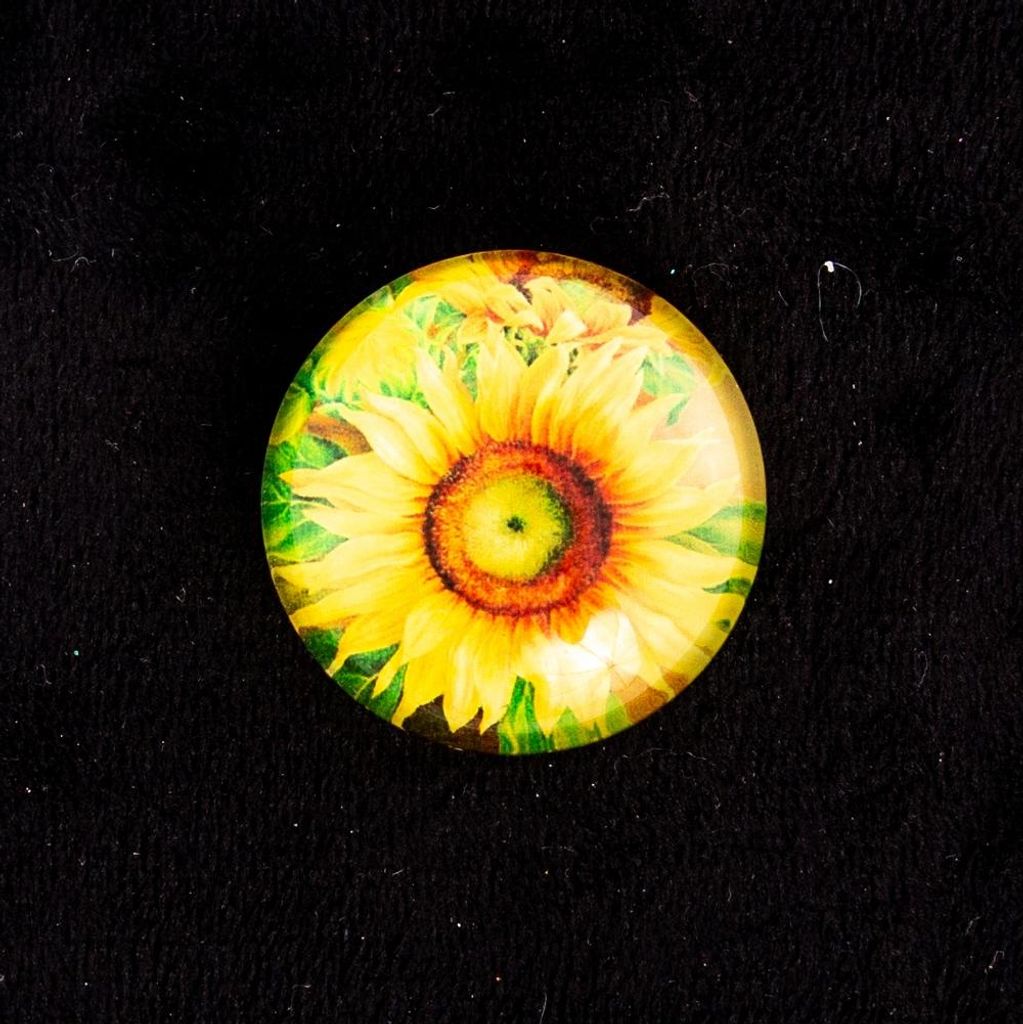 Glas Kühlschrankmagnet Sonnenblume - Runder Deko Magnet 3,5cm - Starkes Design