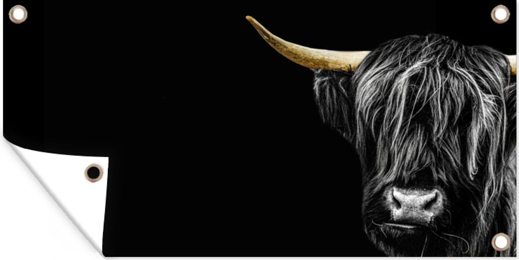 MuchoWow 80x40 cm Outdoor-Poster Gartendeko Sichtschutz Garten Poster für den Garten Schottischer Highlander - Schwarz - Gold - Horn