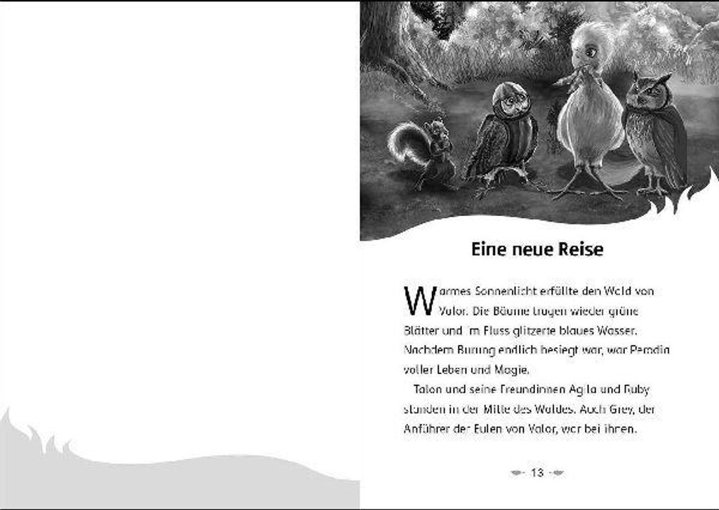 Der letzte Feuerfalke und das Wolkenland (Band 7) Produktbild 