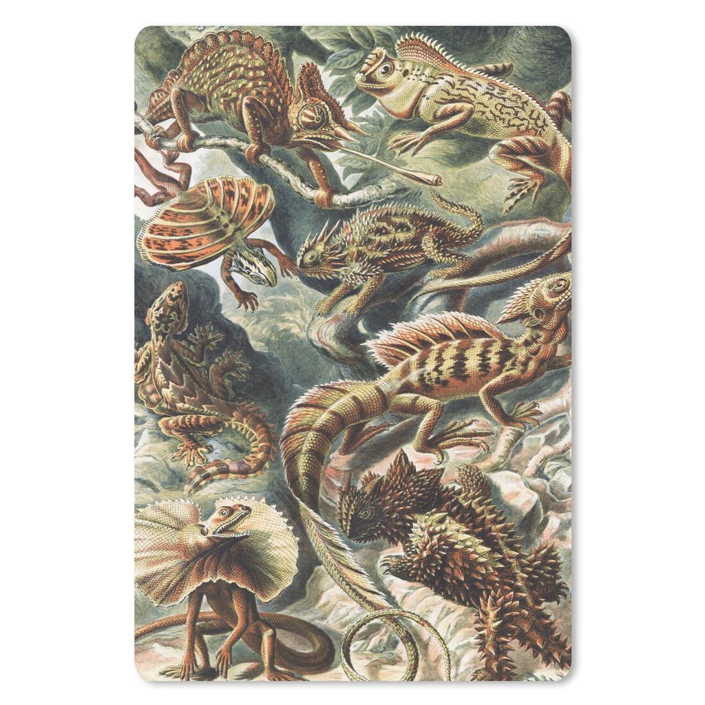 MuchoWow Mauspad Mousepad Jahrgang - Kunst - Ernst Haeckel - Salamander - Tiere 18x27 cm - Mousepads - Maus Mat - Pad - Mausunterlage