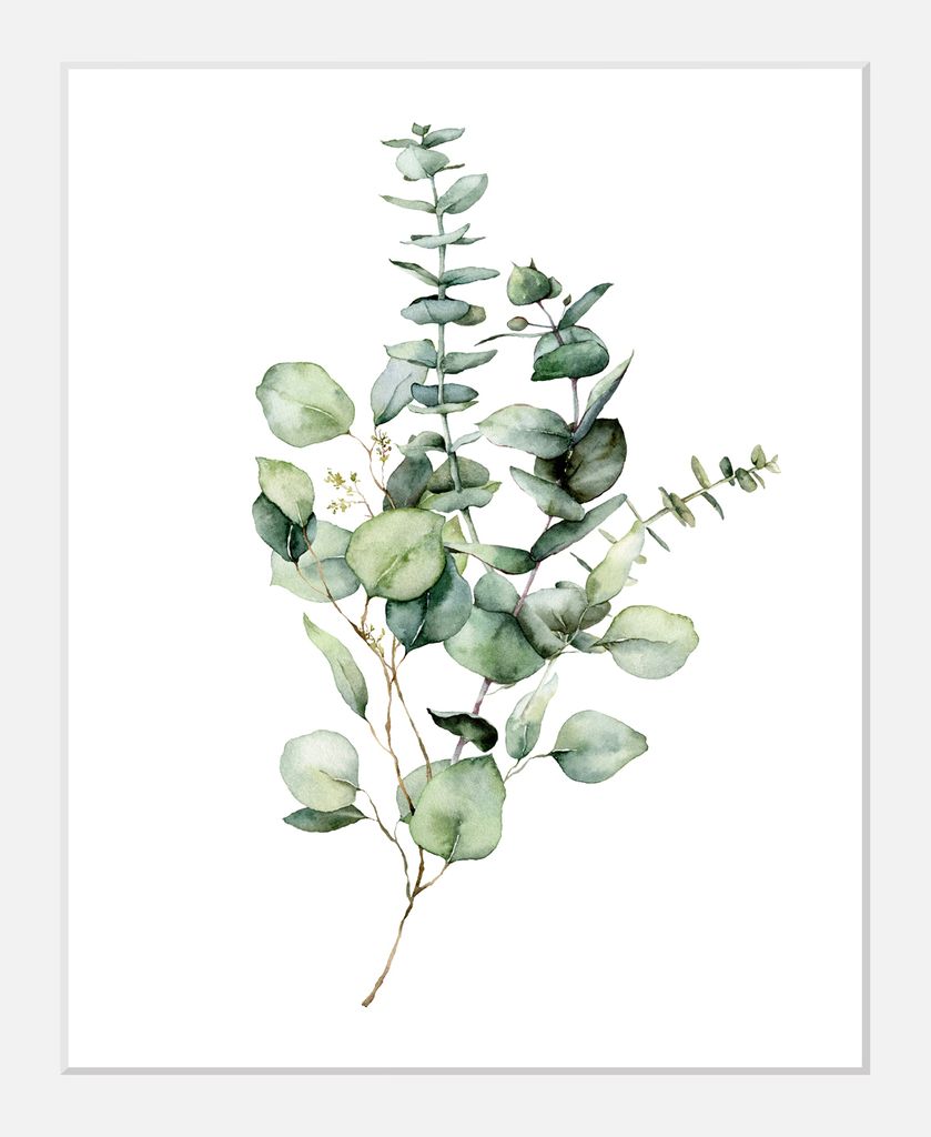 Gerahmter Digitaldruck 30x40cm Eukalyptus Pflanzen Plant Art | Wandbild | Design-Poster | Weißer Holzrahmen | Dekoration