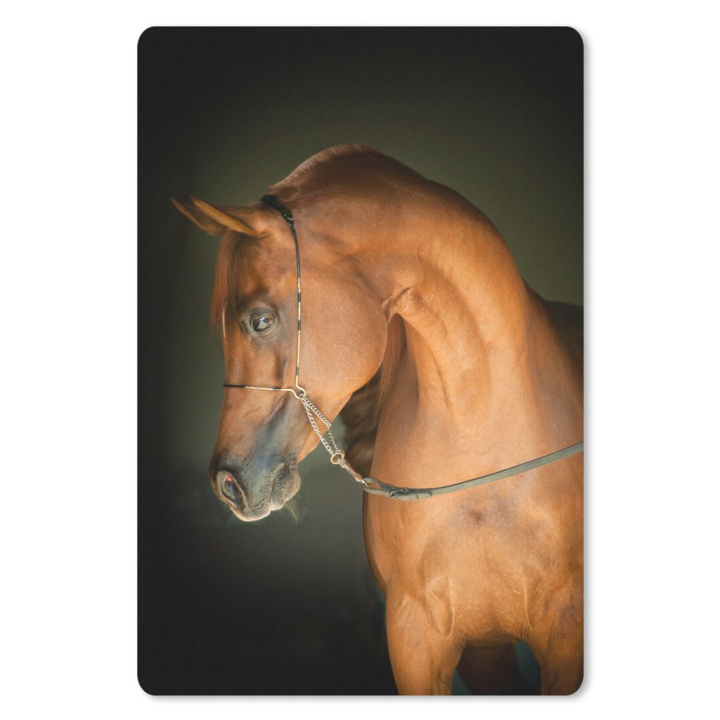 MuchoWow Mauspad Mousepad Pferd - Braun - Schwarz 40x60 cm - Mousepads - Maus Mat - Pad - Mausunterlage - Schreibtisch Accesoire