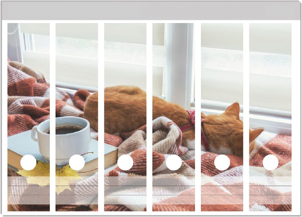 Wallario Ordnerrücken Sticker, selbstklebend für breite Ordner, 6 Stück, Motiv Schlafende Katze beim Kaffeekränzchen
