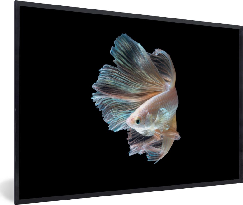 MuchoWow MuchoWow Gerahmtes Poster Fisch - Schwanz - Schwarz 90x60 cm - Poster mit zchwarzem Bilderrahmen - Fotorahmen - Foto-Plakat