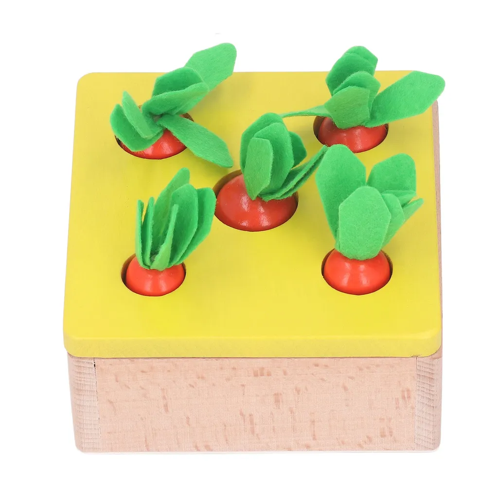 Boîte de tri Montessori en bois et jeu de récolte de carottes