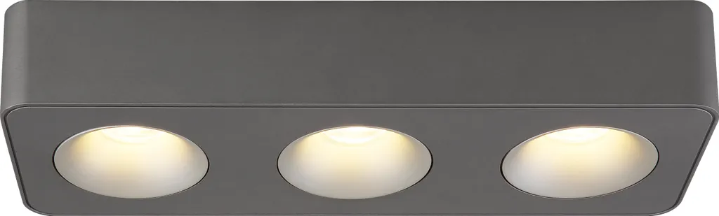 Projecteur à LED HANGARAU GLOBO Lighting 33x11cm multicolore - 2