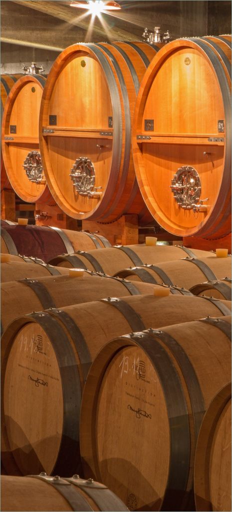 Türtapete Türposter Weinkeller mit alten Holzfässern - Größe: 93 x 205 cm