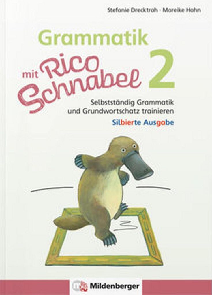 Grammatik mit Rico Schnabel, Klasse 2 - silbierte Ausgabe Immagine del prodotto 