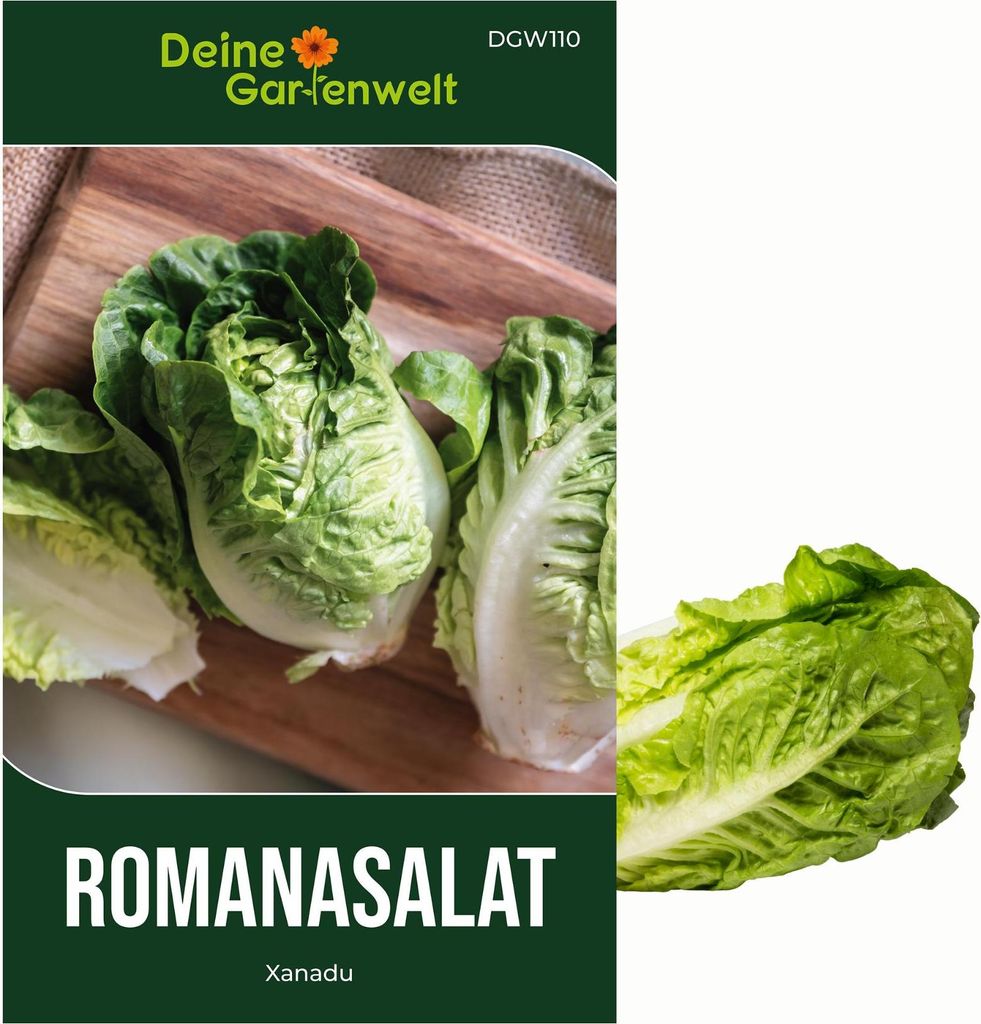 Romanasalat Xanadu Samen - Lactuca sativa - Produktbild 