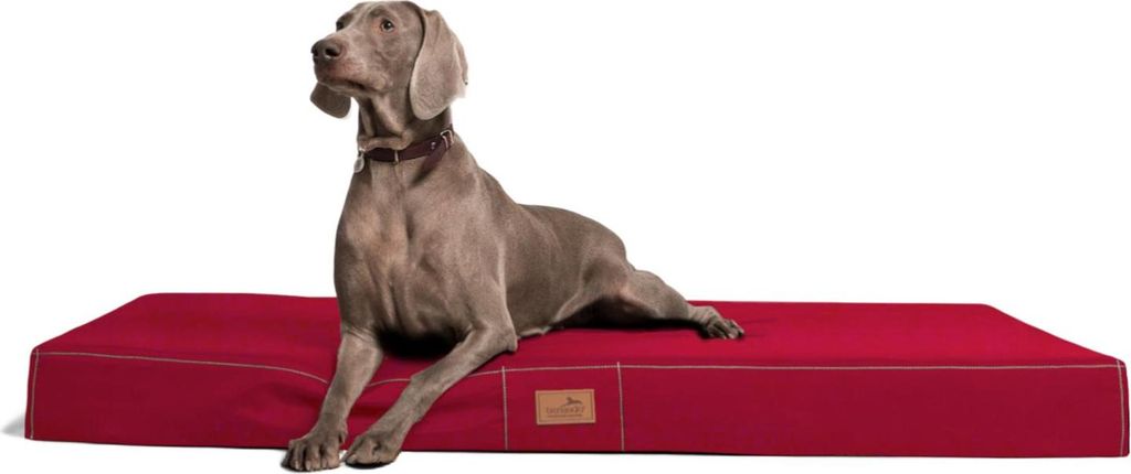 tierlando Hundematratze HUGO BASIC M L XL XXL 80 bis 150 cm - Größe: 100x80cm | Farbe: 04 Dunkelrot