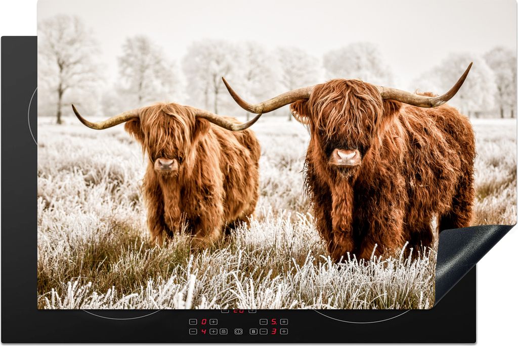 KitchenYeah Herdabdeckplatte Schottischer Hochländer - Kuh - Natur - Winter , 80x52cm, Küche Deko, Glaskeramikkochfeld Herdabdeckung, Abdeckpla...