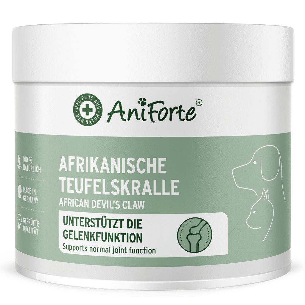 AniForte Afrikanische Teufelskralle Pulver für Hunde & Katzen 250g - Gelenkpulver zur Unterstützung der Agilität & Gelenkfunktion, Sehnen & Bänder