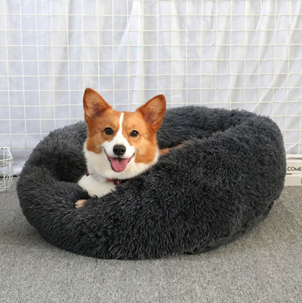 Rutschfestes Plüschbett mit Seitenwänden, Haustiere bis 9 kg, 100 % Weiche Polypropylen-Vliesfüllung, 60 cm Durchmesser, Mittel, Hundebett, Katz...