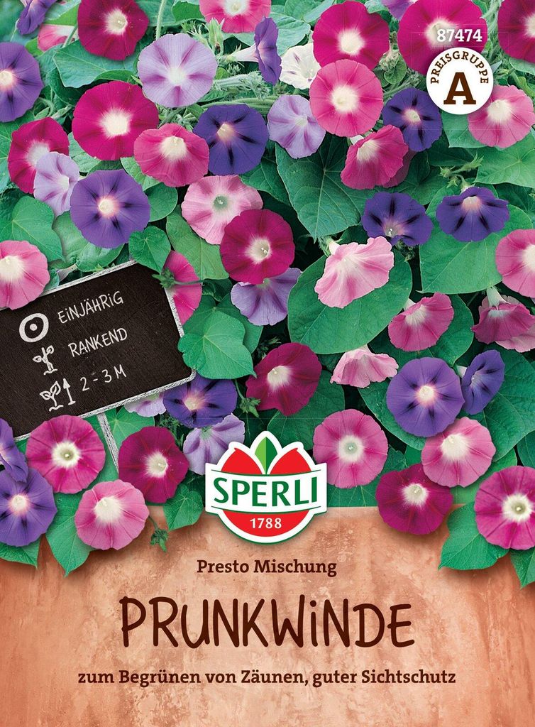 Artikelbild 2 von 'Prunkwinde Presto Mischung' aus der Kategorie Blumensamen