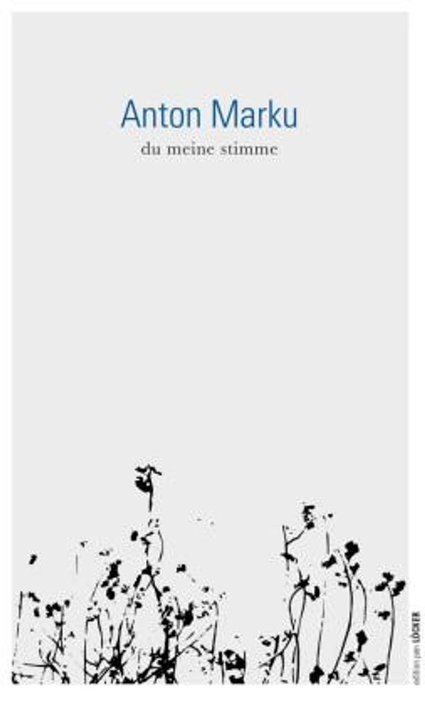 du meine stimme