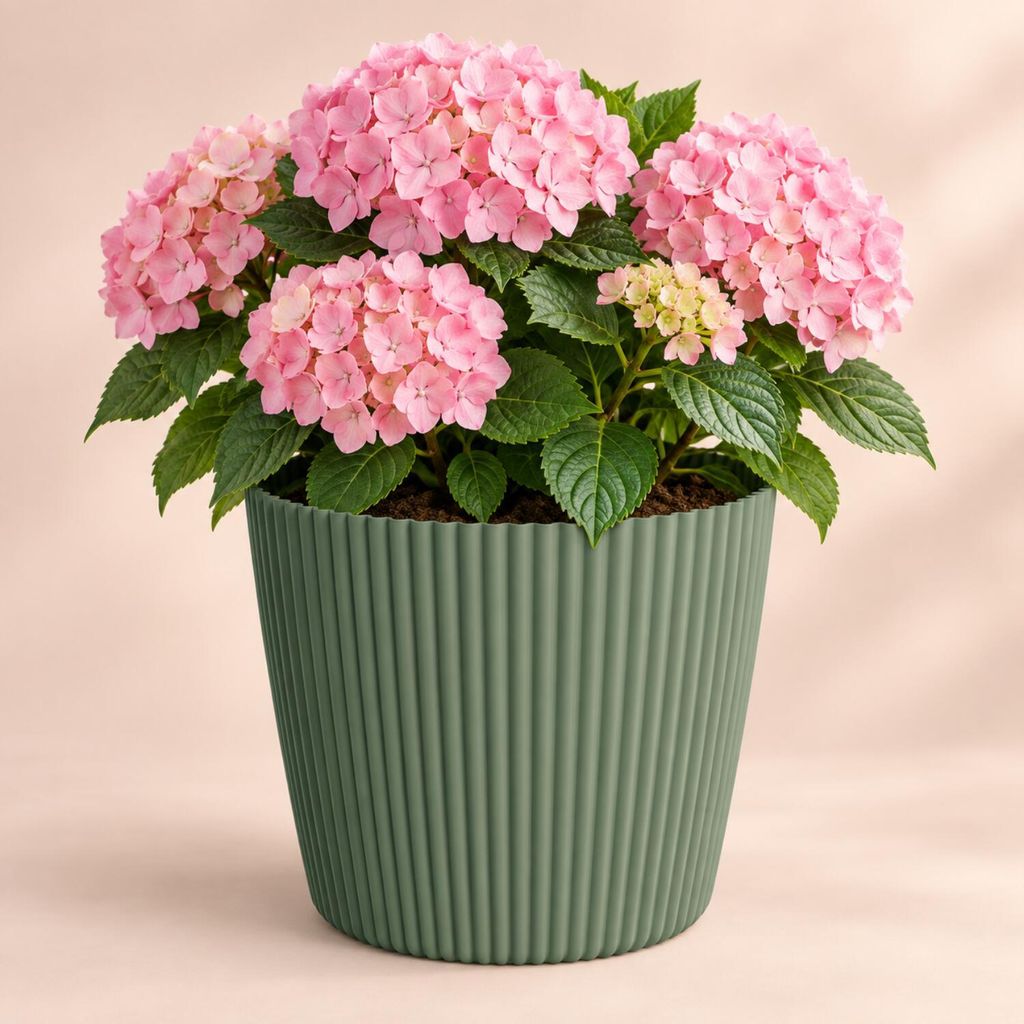 Prosperplast plantenpot Buckingham - dennenbruin - diameter Productafbeelding 