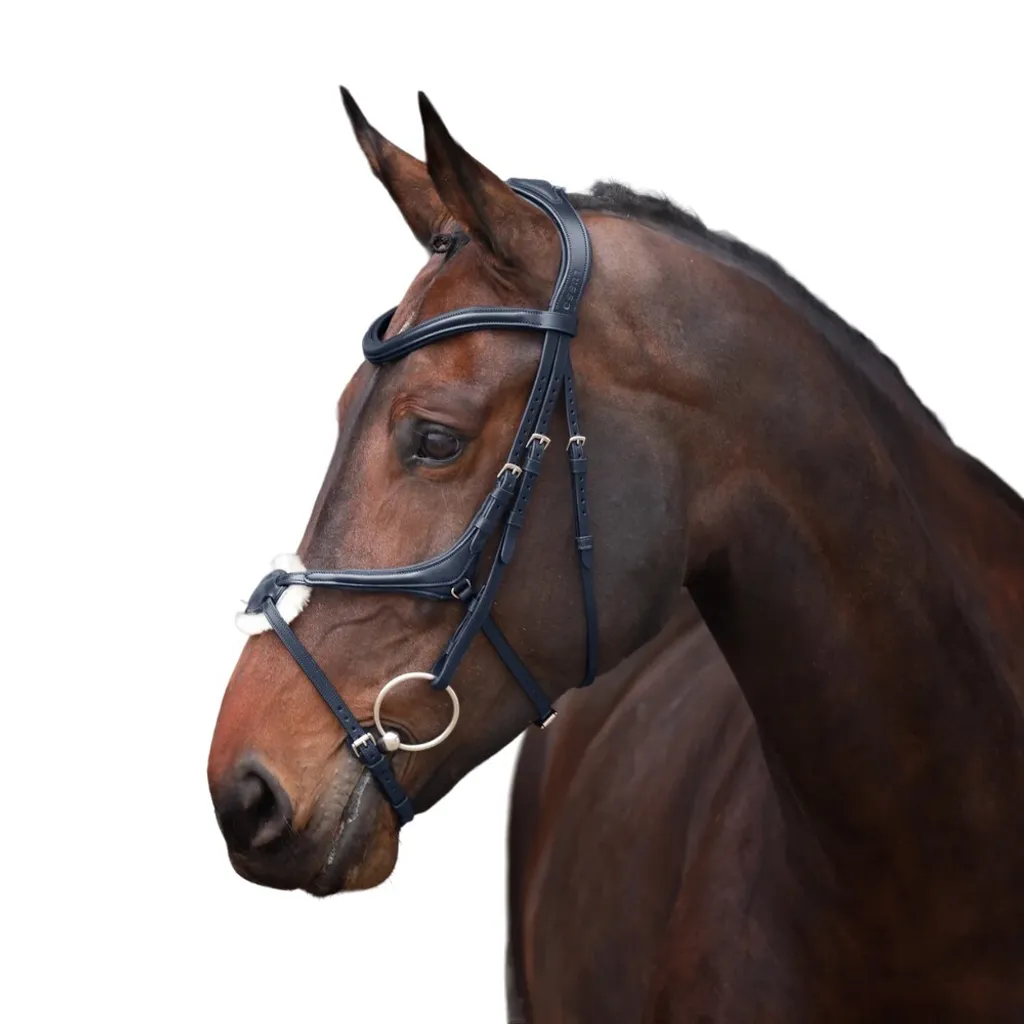 Bridon Grackle Lusso ER2076 anti-pression pour cheval difficile Noir