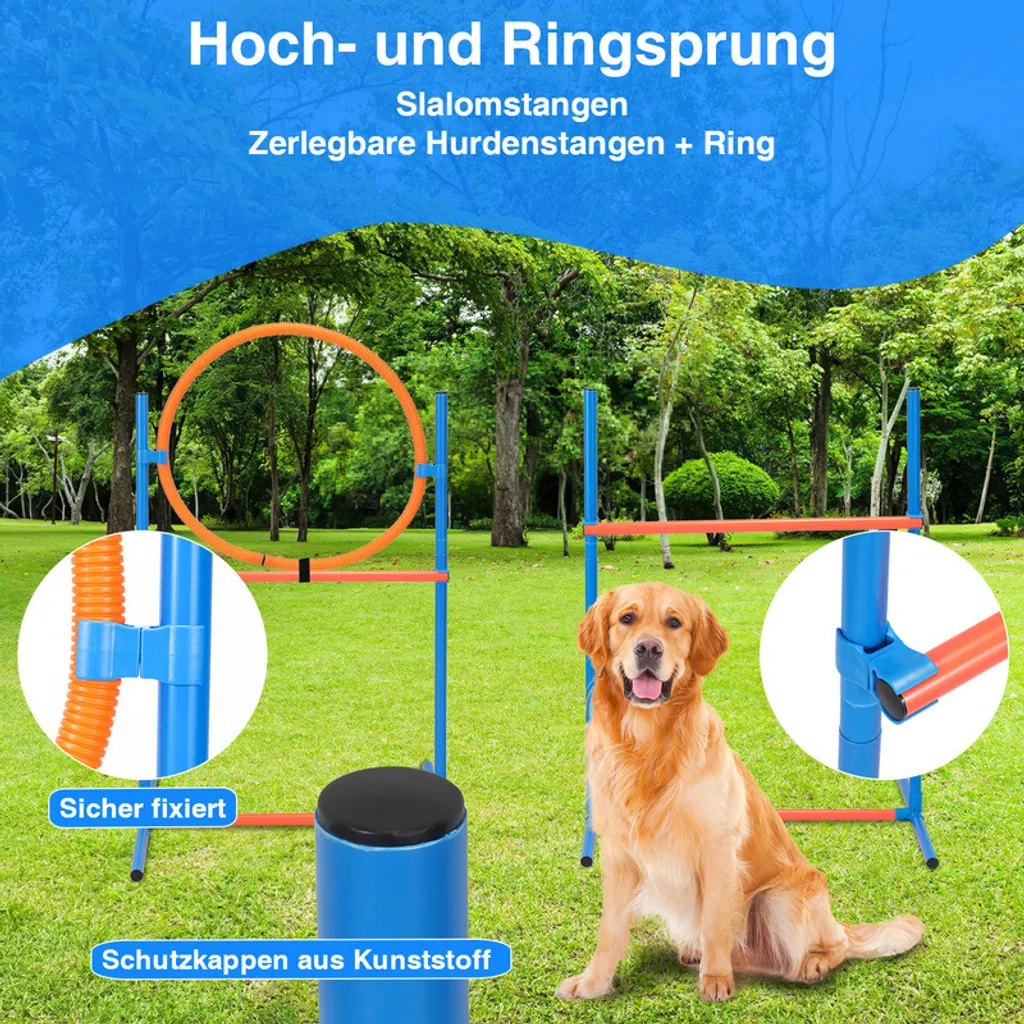 Set Agility Chien : Solution Contre l'Ennui et Manque d'Exercice Canin