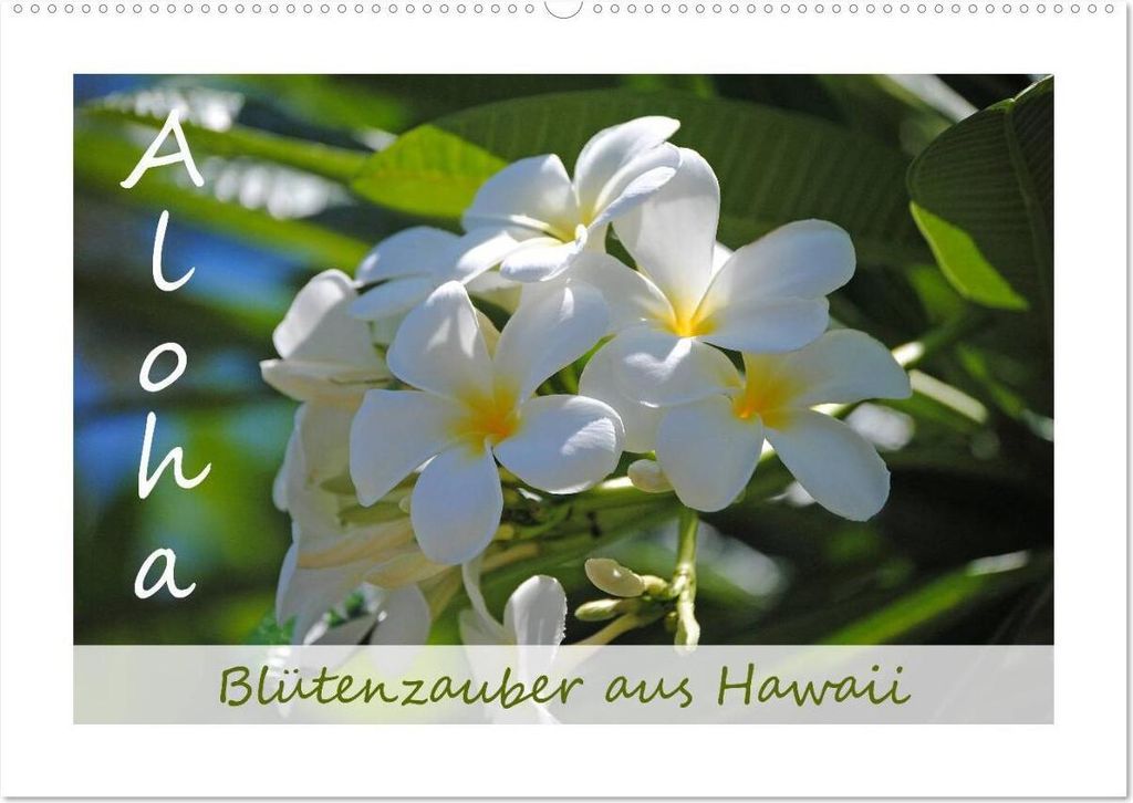 Aloha Blütenzauber aus Hawaii (Wandkalender 2026 DIN A2 quer), CALVENDO Monatskalender