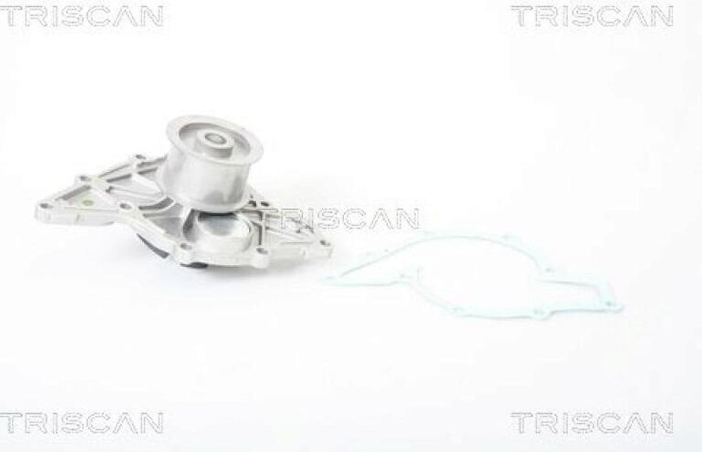 TRISCAN Wasserpumpe 8600 29015