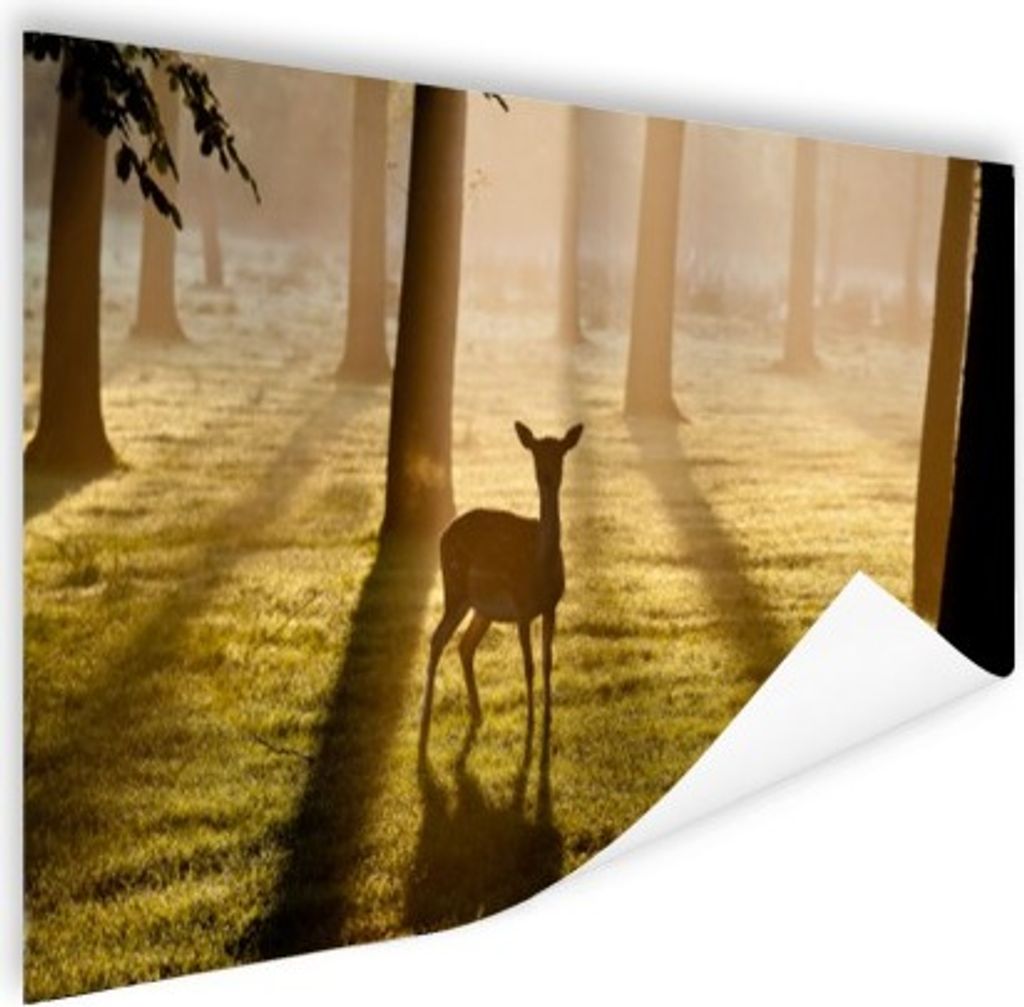 MuchoWow Poster Hirsche - Wald - Sonne 60x40 cm - Schlafzimmerdekoration