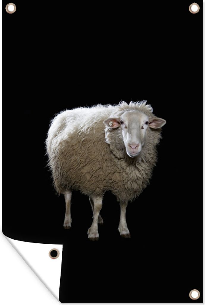 MuchoWow 60x90 cm Outdoor-Poster Gartendeko Sichtschutz Garten Poster für den Garten Schafe - Nutztiere - Schwarz
