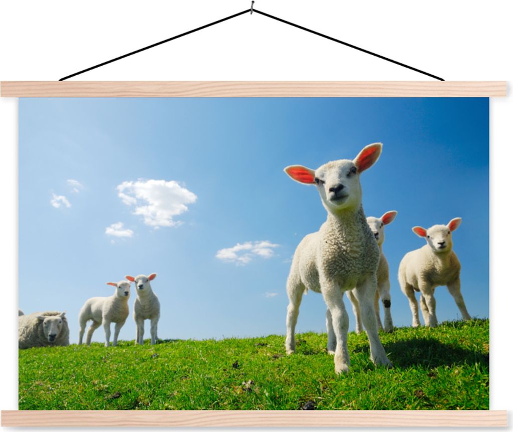 MuchoWow Textilposter Schafe - Frühling - Landschaft 120x80 cm mit holzfarbenen Rahmen - Aufhängeset