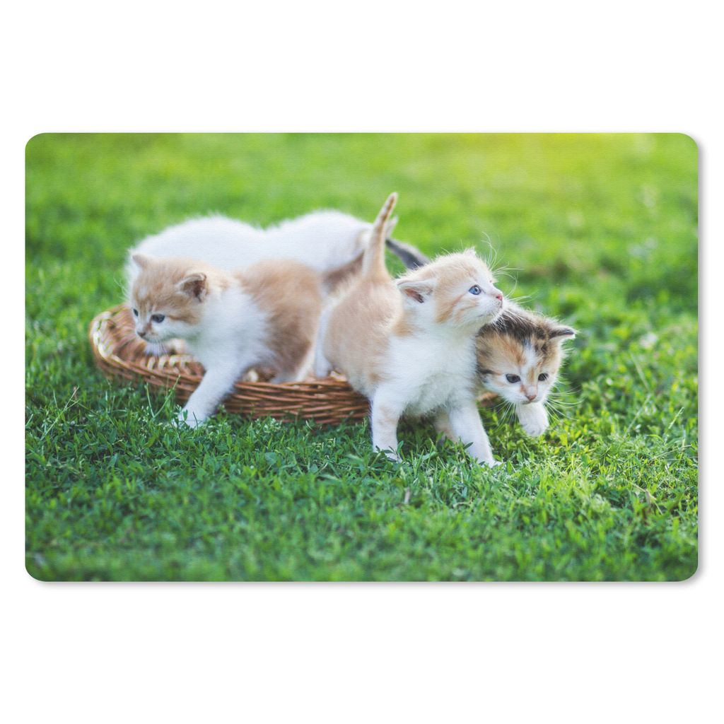 MuchoWow Mauspad Mousepad Nahaufnahme von Kätzchen in einem Korb 27x18 cm - Mousepads - Maus Mat - Pad - Mausunterlage - Büroartikel - Desk Matten