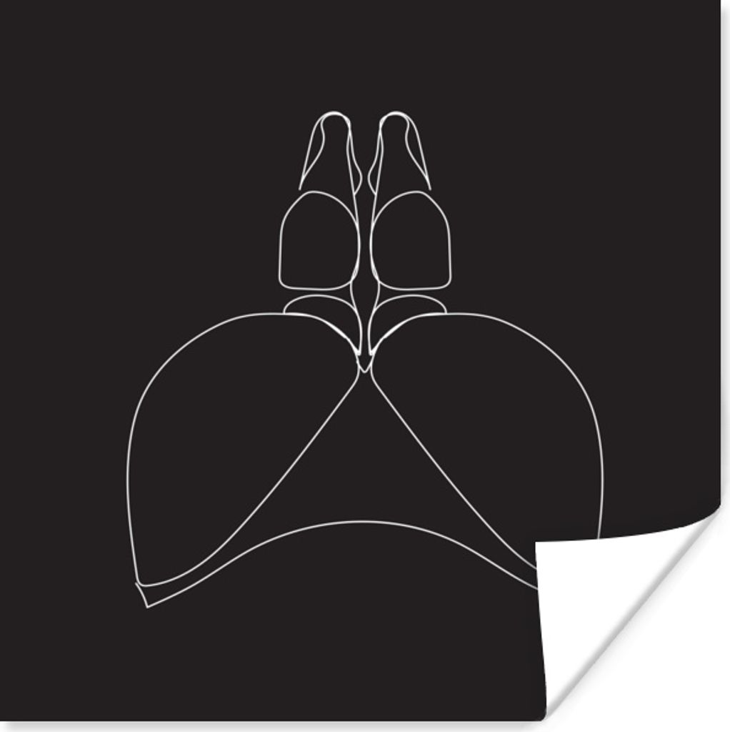 MuchoWow Poster Frau - Linienkunst - Unterwäsche 50x50 cm - Wohnzimmerdekoration