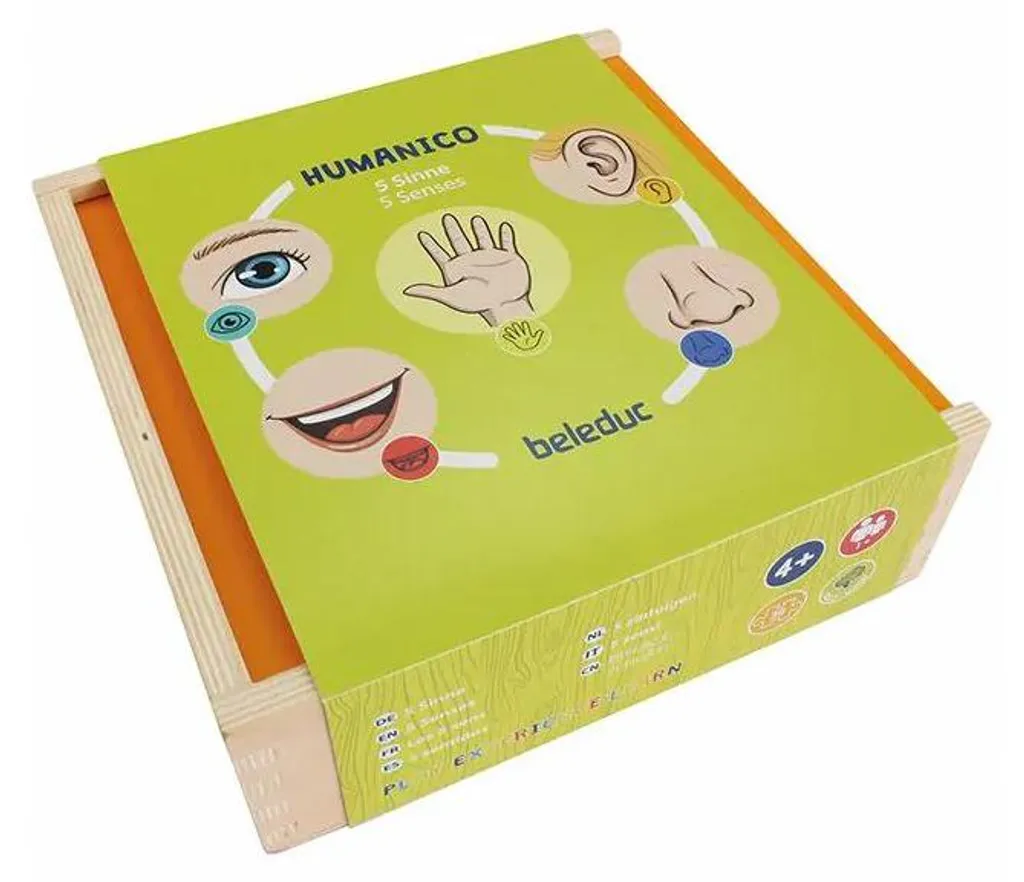 Jeu éducatif Beleduc Humanico 5 Senses pour éveil sensoriel enfant