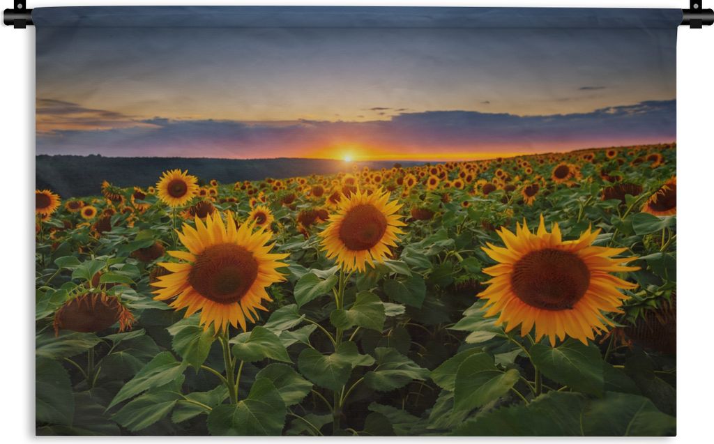 MuchoWow Wandteppich Wandbehang Blumen - Nacht - Sonnenuntergang - Sonnenblume - Horizont 90x60 cm Tapisserie Dekoration Wandtuch - Wandskulpture...
