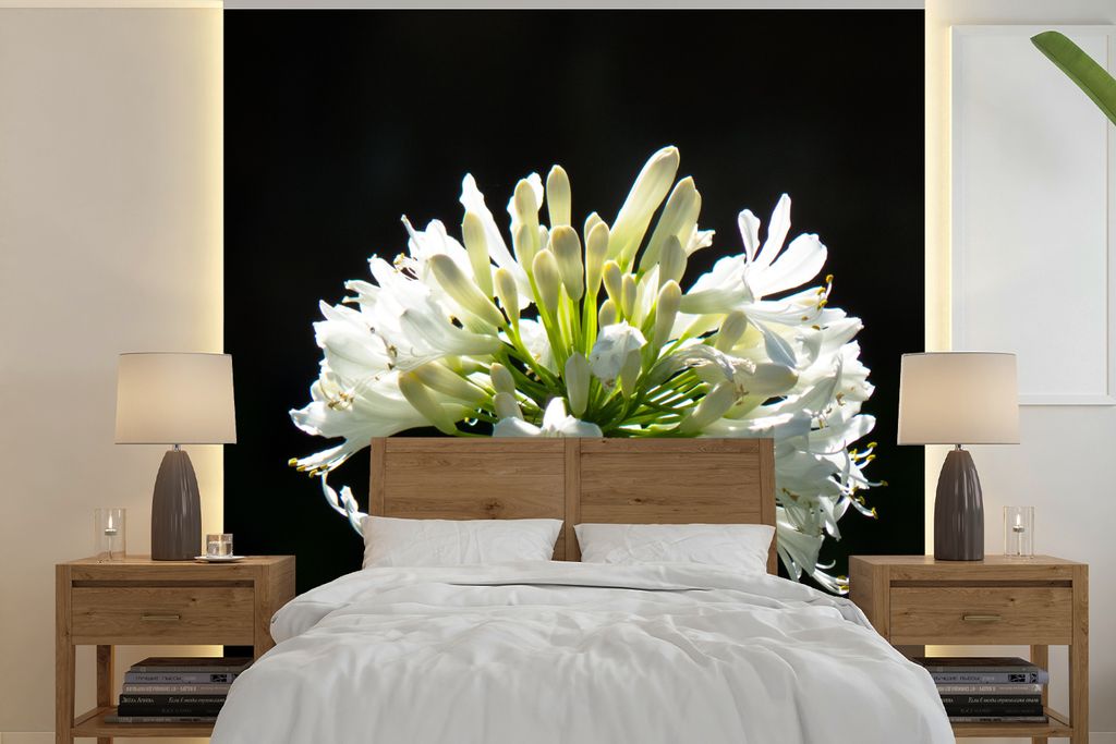 MuchoWow Fototapete für Wohnzimmer oder Schlafzimmer Wandtapete Vinyl Motivtapete Ein blühender weißer Agapanthus vor einem dunklen Hintergrun...