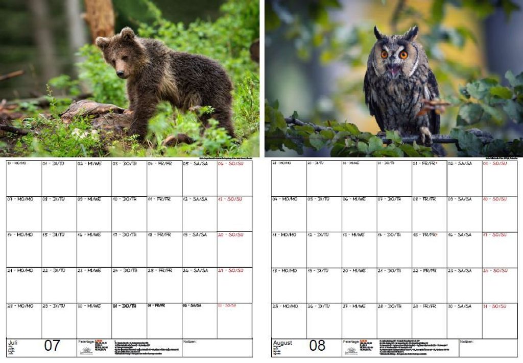 Tierzauber Waldtiere Planer DIN A3 Kalender | Kaufland.de